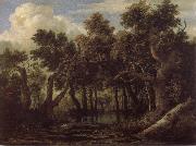 Jacob van Ruisdael Marsh in a Forest china oil painting artist